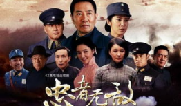 电视剧忠者无敌演员表